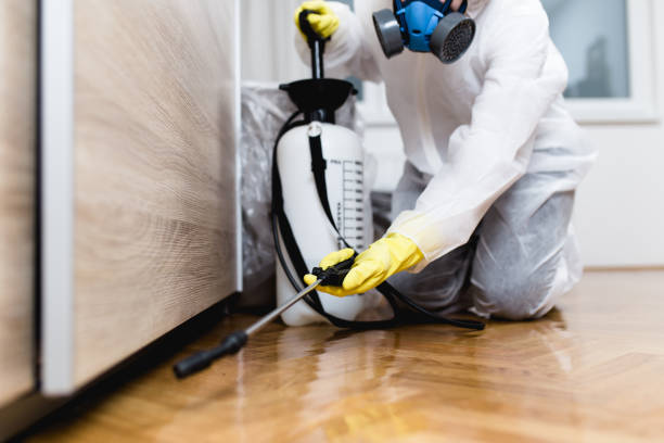 Reliable Edinburg, IL Pest Control Solutions