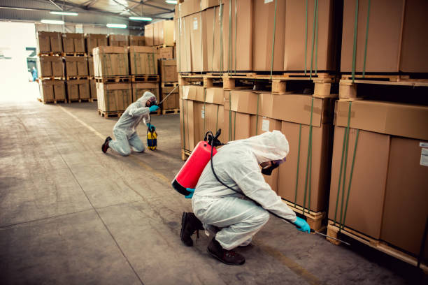 Best Rat Extermination Near Me  in Edinburg, IL