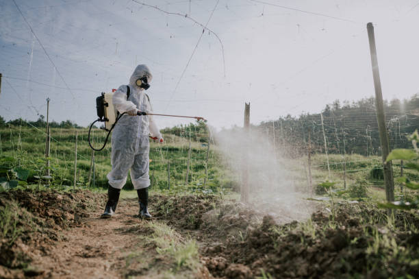 Best Ant Control Services  in Edinburg, IL