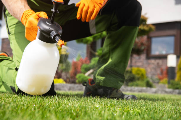 Best Affordable Pest Control Services  in Edinburg, IL