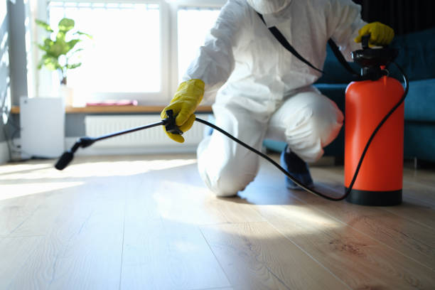 Best Termite Control Services  in Edinburg, IL