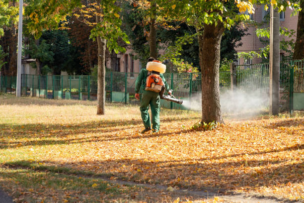 Best Ant Control Services  in Edinburg, IL