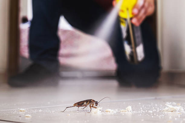 Trusted Edinburg, IL Pest Control Experts