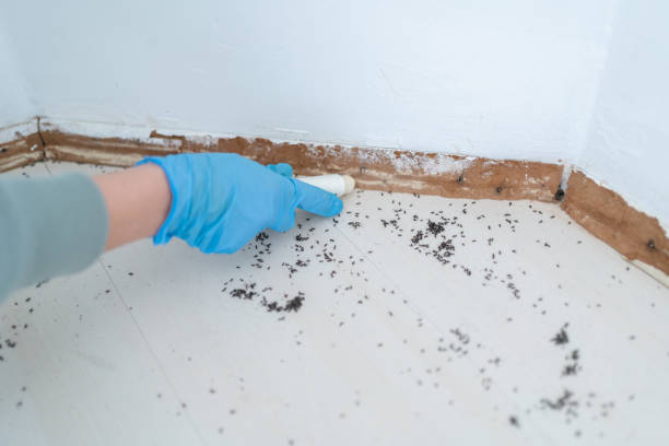  Edinburg, IL Pest Control Pros