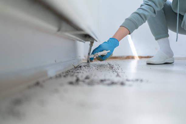 Best Residential Pest Control  in Edinburg, IL